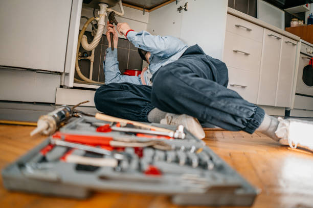 Best Local Plumber Services  in Guttenberg, IA