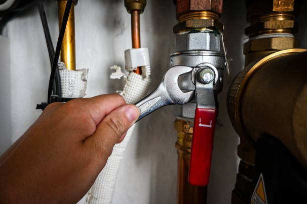 Best Leak Detection Services  in Guttenberg, IA